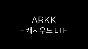 “ARKK - 캐시우드 ETF”라는 문구가 검은색 배경 위에 흰색 글씨로 중앙 정렬되어 있는 간결한 이미지.