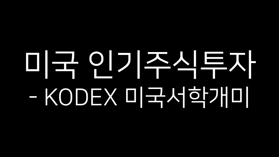 검은색 배경에 ‘미국 인기주식투자 - KODEX 미국서학개미’라는 문구가 흰색 글씨로 표시되어 있다.