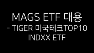 MAGS ETF 대용 - TIGER 미국테크TOP10 INDXX ETF라는 문구가 검은 배경 위에 흰색 글씨로 적혀 있는 썸네일 이미지